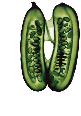 functional botanical components