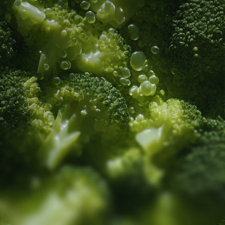 Fermentation-based balance