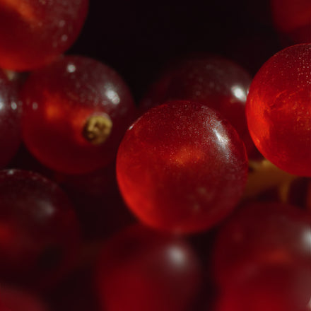 Fibre pre-meal buffer